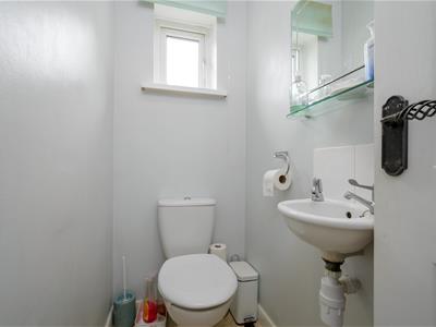 Picture 16